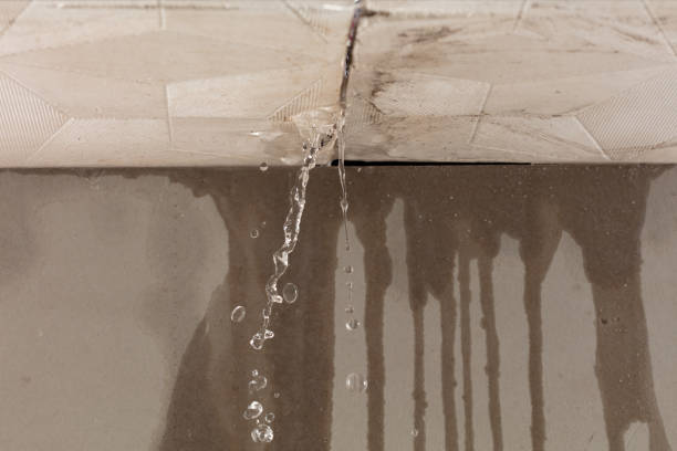 Professional Structural Drying technician working in Sixes, OR